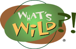 What's Wild?! Family Card Game - A rummy-based card game safari!